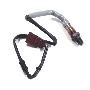 Oxygen Sensor (Rear)